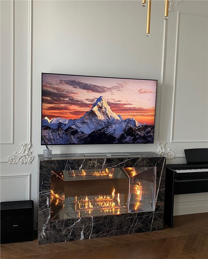 ethanol fireplace insert for existing fireplace Manufacturer